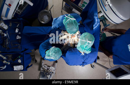Portrait d'une équipe de chirurgie sur un patient d'exploitation Banque D'Images