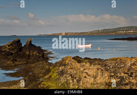 Bull Bay (Port Llechog) vue depuis le sentier du littoral à l'Est, vers la côte nord de Holyhead sur l'île d'Anglesey, dans le Nord du Pays de Galles Banque D'Images