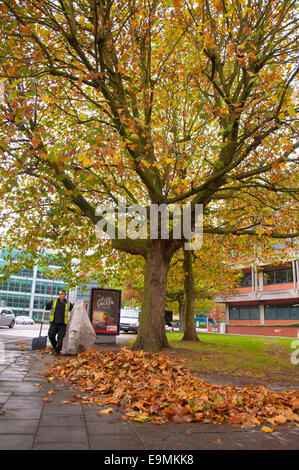 Bristol, Royaume-Uni. 30 octobre, 2014. Les travailleurs du Conseil de retirer les feuilles d'automne dans le centre-ville. Crédit : Richard Wayman/Alamy Live News Banque D'Images