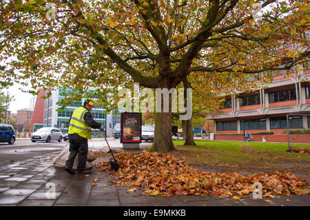 Bristol, Royaume-Uni. 30 octobre, 2014. Les travailleurs du Conseil de retirer les feuilles d'automne dans le centre-ville. Crédit : Richard Wayman/Alamy Live News Banque D'Images