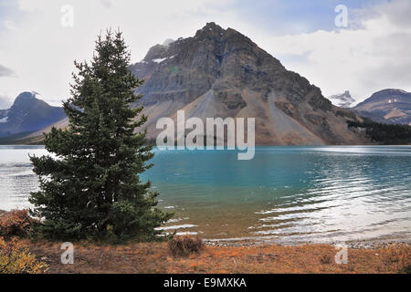 Le Lac Bow turquoise brillant Banque D'Images