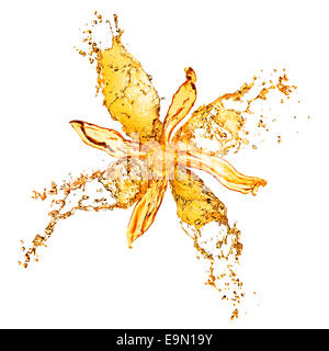 Les projections d'eau de fleur isolated on white Banque D'Images