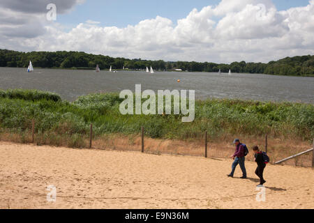 Frensham pond (étang des grands évêques) a été créé au 13ème siècle et aujourd'hui, c'est un sanctuaire pour la faune Banque D'Images