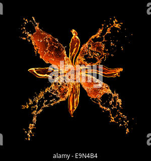 Les projections d'eau de fleur isolated on black Banque D'Images