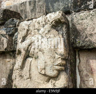 Bas-reliefs au ruines de Palenque, Mexique Banque D'Images