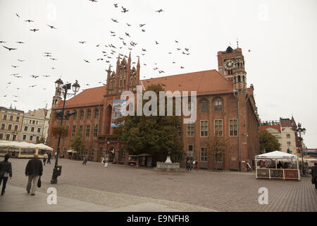 Des oiseaux volent autour de l'Ancien hôtel de ville avec une tour d'horloge à partir de la 14e siècle. Torun, Pologne Banque D'Images