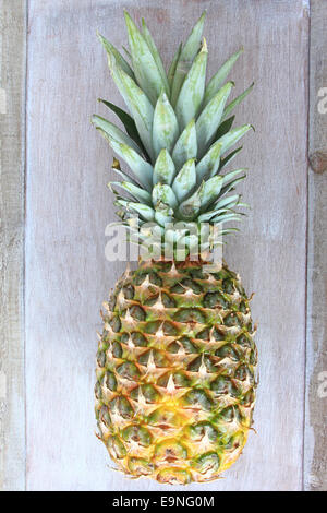 Ananas Banque D'Images