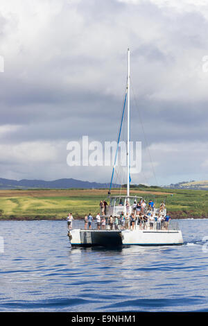 Ocean yachts de croisière des baleines Banque D'Images