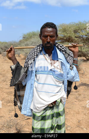 Chameau bédouin près du lac Assal, Djibouti Banque D'Images