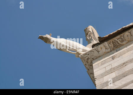 La cathédrale Duomo de Pise vidange du pavillon de fragments sous la forme de créature fantastique. La toscane, italie. Banque D'Images