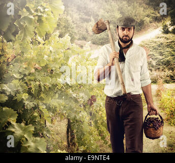 Bien que vigneron produisent des raisins dans le vignoble. Banque D'Images