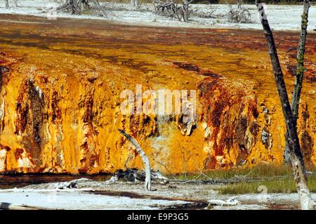 Run-off d'une source d'eau chaude s'écoule sur une période de quatre à cinq pieds de drop off. Banque D'Images