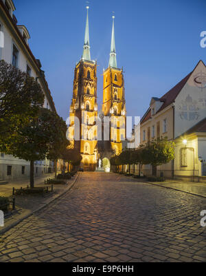 Cathédrale de Saint Jean Baptiste sur plac Katedralny Platz cathédrale sur l'île de la cathédrale Ostrów Tumski, Wroclaw, Pologne Banque D'Images