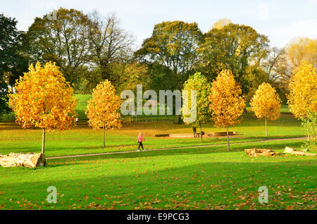 Le parc Victoria, Bedminster, Bristol, Royaume-Uni. 31 octobre, 2014. Chaud et ensoleillé à pied à travers le parc Victoria à Bristol au dernier jour d'octobre. Crédit : Robert Timoney/Alamy Live News Banque D'Images