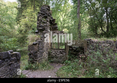 Ruines de Batemans House en Lathkill Dale, Peak District, Derbyshire. Banque D'Images