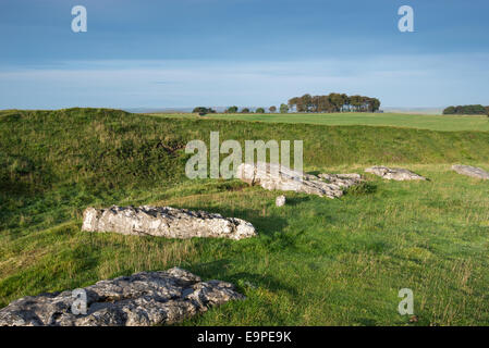 Des pierres sur le cercle de pierre basse Arbor dans le Peak District, Derbyshire. Un henge néolithique qui est une destination touristique populaire. Banque D'Images