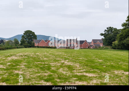 Un développement de nouvelles maisons d'empiéter sur les terres agricoles sur le bord de la ville de Presteigne, Powys, Wales, UK Banque D'Images