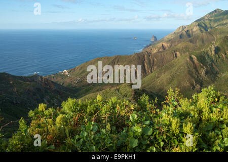 Les montagnes d'Anaga, Tenerife, Îles Canaries Banque D'Images