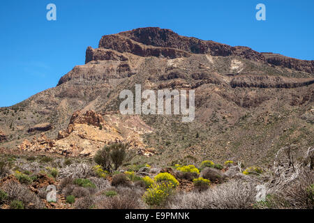 Monatana Films (titres, le Parc National du Teide, Tenerife Banque D'Images