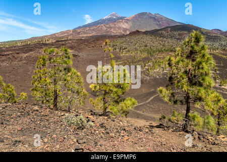 Le Mont Teide, Tenerife Banque D'Images