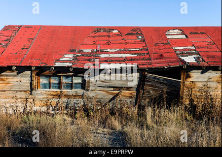 Ranch abandonné sur bâtiment Monte Vista National Wildlife Refuge, centre du Colorado, USA Banque D'Images