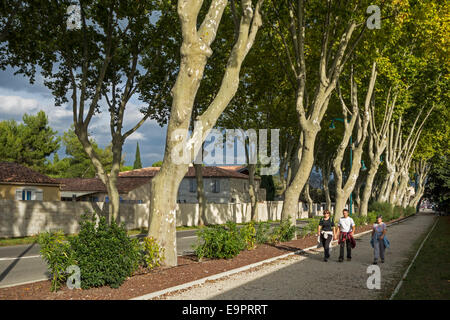 Les piétons circulant le long de platanes (Platanus x acerifolia) bordant la Route Nationale française 7 / RN7, France Banque D'Images