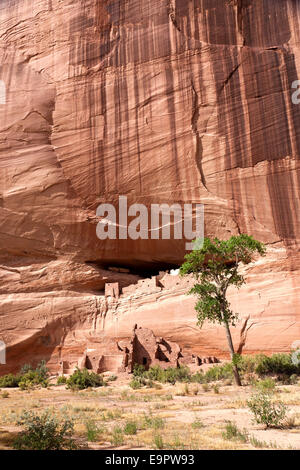 Ruines de la Maison blanche au Canyon de Chelly National Monument sur la réserve Navajo en Arizona. La Maison Blanche, nommé d'après le w Banque D'Images