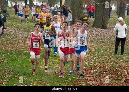 Harrison Township, Michigan - Des élèves du secondaire de la concurrence dans le sud-est du Michigan a cross country rencontrez. Banque D'Images