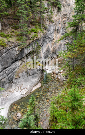 Dans la rivière Maligne Canyon à Jasper au Canada Banque D'Images