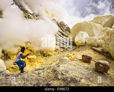 Mineur de soufre Soufre collecte au volcan Kawah Ijen à Java Est, Indonésie. Banque D'Images