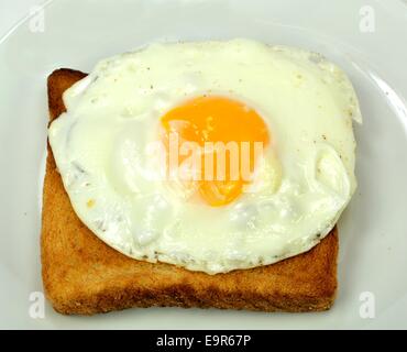 Œuf frit sur une tranche de pain grillé sur un fond blanc. Banque D'Images