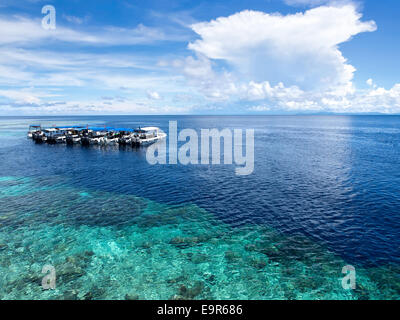 Site de plongée à bateaux au large de la côte de l'île de Sipadan célèbre à Sabah, Malaisie Orientale. Banque D'Images