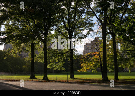 Sun shining on Sheep's Meadow dans Central Park, New York City. Banque D'Images