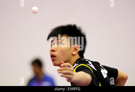 Phnom Penh, Cambodge. 1er novembre 2014. Chee Leong Feng de la Malaisie sert la balle au cours de la 9e compétition de Tennis de Table de l'Asie du sud-est au stade olympique de Phnom Penh, Cambodge, le 1 novembre 2014. © Sovannara/Xinhua/Alamy Live News Banque D'Images