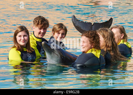 rencontre avec dauphins dubai