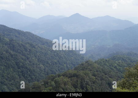 Titiwangsa montagnes, de montagnes tropicales en Malaisie Banque D'Images