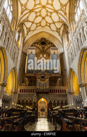 Quire et l'organe principal de la cathédrale de Wells. Somerset UK. Banque D'Images