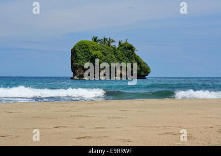 Petite île au large de la plage de Cocles sur la côte caraïbe du Costa Rica, Puerto Viejo de Talamanca Banque D'Images