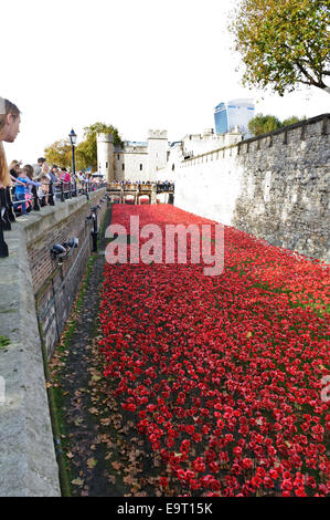 Un grand nombre de visiteurs d'admirer l'affichage des coquelicots dans les douves de la Tour de Londres, Royaume-Uni. Banque D'Images
