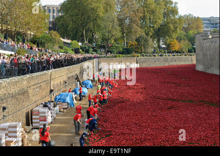 Un grand nombre de visiteurs d'admirer l'affichage des coquelicots dans les douves de la Tour de Londres, Royaume-Uni. Banque D'Images