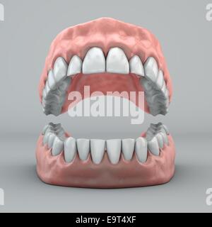 Illustration de prothèse sur un fond gris Banque D'Images