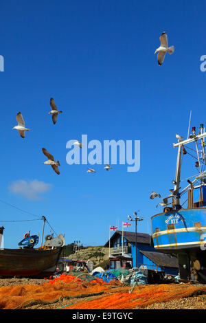 Mouettes sur Hastings Bateaux de pêche sur la vieille ville Stade Beach, East Sussex, England, GB UK Banque D'Images