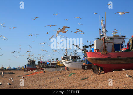 Mouettes troupeau sur Hastings bateaux de pêche sur la plage de Stade. Hastings a la plus grande plage de la flotte de pêche commerciale lancée en Europe. Banque D'Images