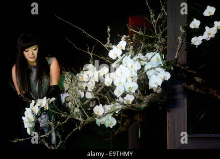 Taipei, Taiwan. 2e Nov, 2014. Concepteur Floral Elly de Taiwan Lin donne une démonstration au 2014 Taipei International Flower Design Award à Taipei, Taiwan, du sud-est de la Chine, le 2 novembre 2014. Wang © Qingqin/Xinhua/Alamy Live News Banque D'Images