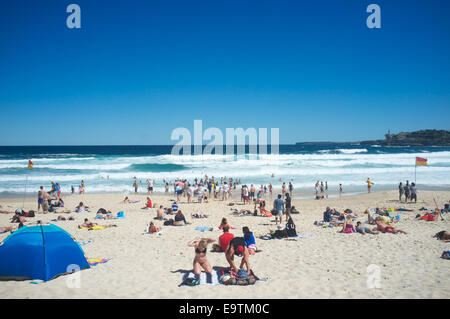 La plage de Bondi sur un week-end de printemps en 2014. Les drapeaux jaune et rouge lifeguard montrer où les nageurs devraient être Banque D'Images