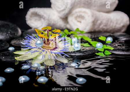 Spa still life of passiflora fleur, branches, serviettes empilées, pierres de basalte zen avec des gouttes et de perle dans l'eau d'ondulation Banque D'Images