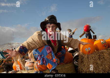 Southport, Merseyside, Royaume-Uni. 2 novembre, 2014. Citrouille peint des visages sur chaussures à l'heureux événement Halloween Pleasureland. Le dernier jour de l'ouverture pour la saison 2014 a vu une multitude de personnages, la Citrouille Citrouilles Peinture Peinture, Art, la Citrouille Citrouille Citrouille, idées bricolage, les citrouilles, les potirons sculptés en bois peint, fait face à la citrouille citrouille, les gens sur l'écran. Banque D'Images