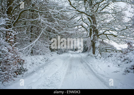 Étroit, couvert de neige route de campagne. Banque D'Images