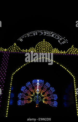 Portrait de nuit lumières électriques multi-couleur Peacock, au centre du 'Tableau' Peacock Rangoli, illuminations de Blackpool, Royaume-Uni Banque D'Images