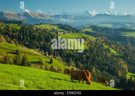 Après-midi d'automne dans l'Emmental regioin, canton de Berne, Suisse. Banque D'Images